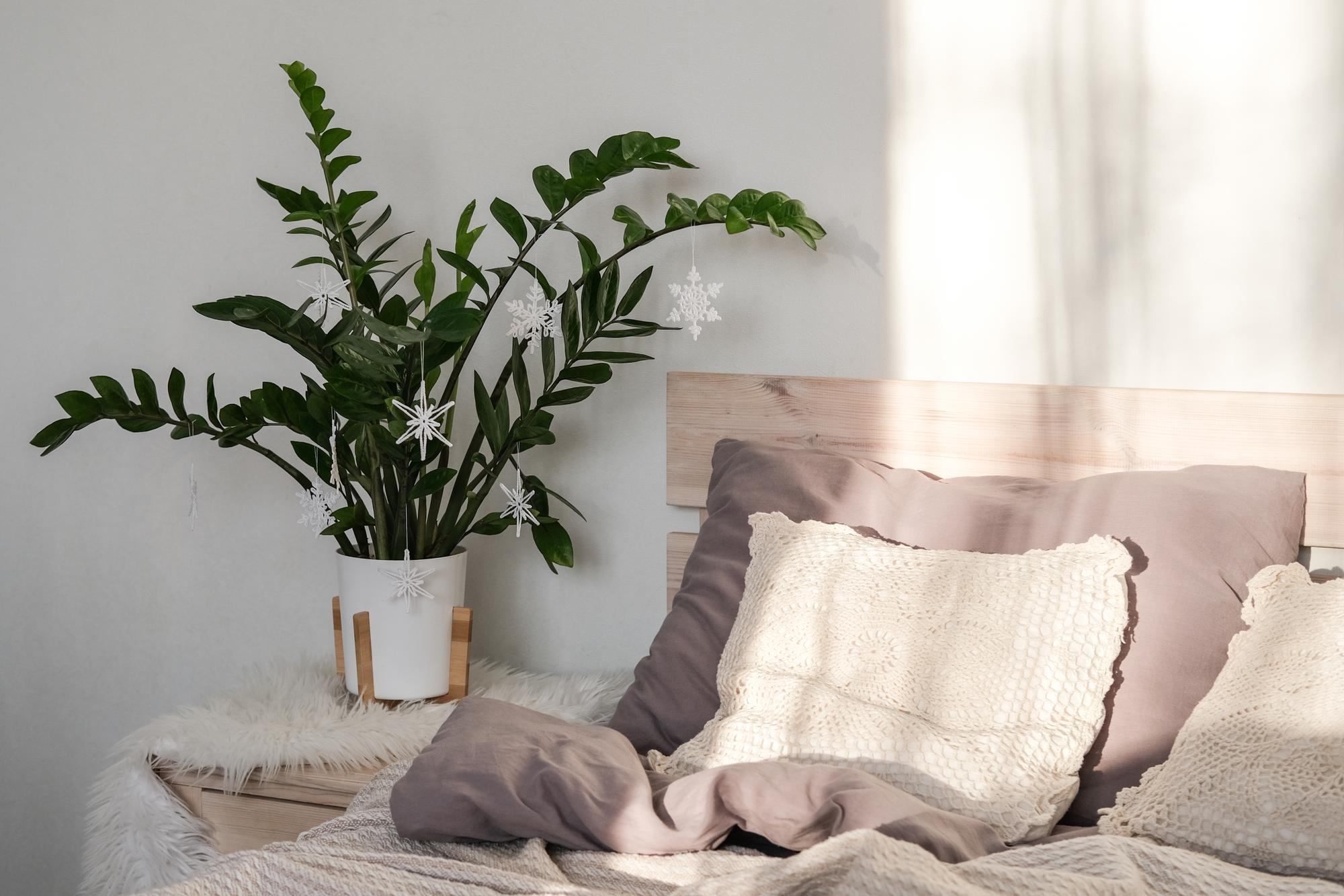 cozy bedroom with natural light
